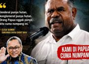 Apakah Ini Salah Ngomong, Atau Papua Cuma Numpang Saja, Karena Hutan Sudah Dikuasai Oknum Jendral dan Konglomerat..