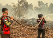 Tak Kenal Lelah, Satgas Humas Polda Kalteng Berjibaku Padamkan Karhutla di Tjilik Riwut Km. 15