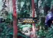 Para  Sniper Sniper dan Satgas Pantas RI PNG, Baku Tembak Jarak Dekat Dengan KKB, Saksikan Vidionya di Akun Fast Respon Nusantara