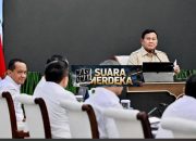 Alumni HMI : Pemerintah Menargetkan Pengembangan PLTS Hingga 100 GWp Dalam Tiga Tahun ini..