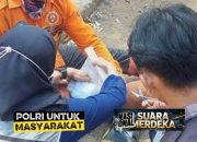 Karhutla Di Gunung Bromo