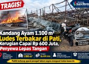Tragis! Kandang Ayam 1.100 m² Ludes Terbakar di Pati, Kerugian Capai Rp 600 Juta, Penyewa Lepas Tangan