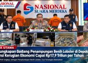Pengungkapan Gudang Penampungan Benih Lobster di Depok, Potensi Kerugian Ekonomi Capai Rp17,9 Triliun per Tahun