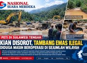 PETI di Sulawesi Tengah Kian Disorot, Tambang Emas Ilegal Diduga Masih Beroperasi di Sejumlah Wilayah