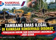 TAMBANG EMAS ILEGAL DI KAWASAN KONSERVASI DISOROT, PENEGAKAN HUKUM DAN KERUSAKAN LINGKUNGAN JADI UJIAN