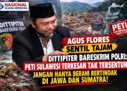 AGUS FLORES SENTIL TAJAM DITTIPITER BARESKRIM POLRI: PETI SULAWESI TERKESAN TAK TERSENTUH, JANGAN HANYA BERANI BERTINDAK DI JAWA DAN SUMATRA!